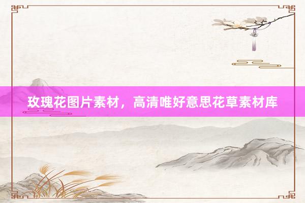 玫瑰花图片素材，高清唯好意思花草素材库